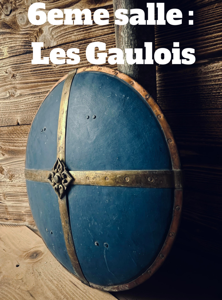 Bouclier gaulois bleu et or sur bois. Texte : 6eme salle : Les Gaulois. Style historique celte.